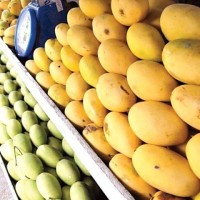 Mangoes