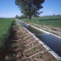 Irrigation Water