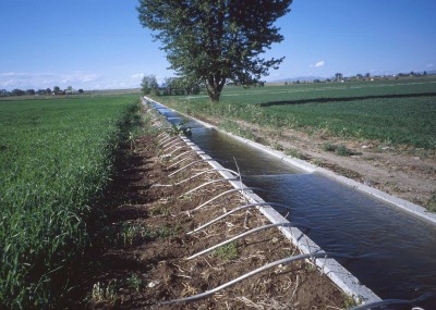 Irrigation Water