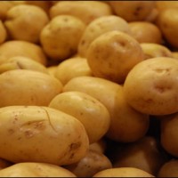 Potatoes