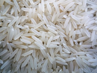 Rice