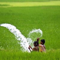 Tube Wells