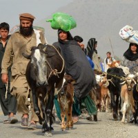 Victims of North Waziristan