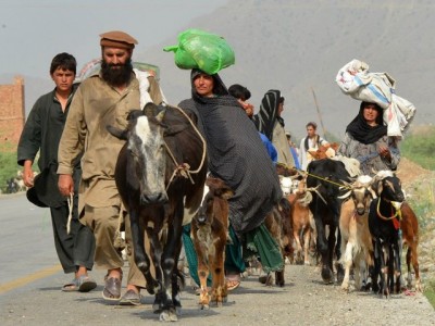 Victims of North Waziristan