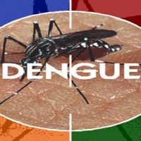 Dengue