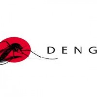 Dengue