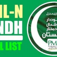 PML-N Sindh