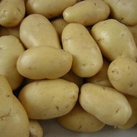 Potatoes