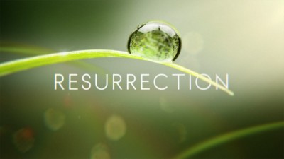 Resurrection