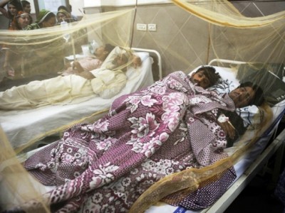 Dengue Patients