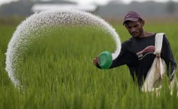 سبسڈی کا معاملہ حل نہ ہونے سے کھاد بحران کا خدشہ