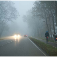 Fog In Holland