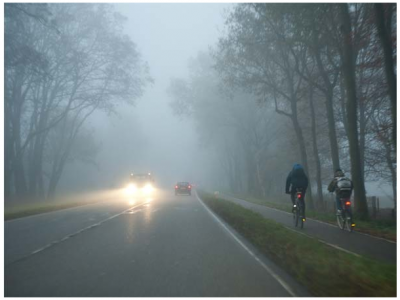 Fog In Holland