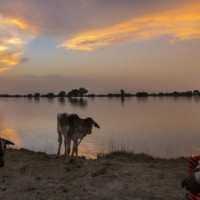 Punjab, Floods