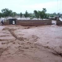 Punjab Rainfall