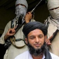 Punjabi Taliban