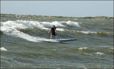 Surf Board