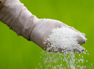 Urea