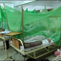 Dengue Patients