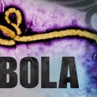 Ebola Virus