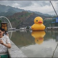 Giant Duck