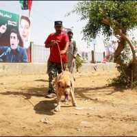 Karachi Jalsa