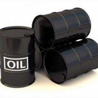 Oil