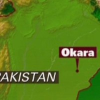 Okara