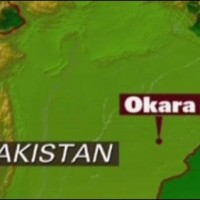 Okara