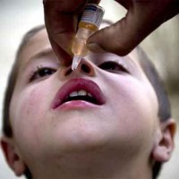 Polio Day