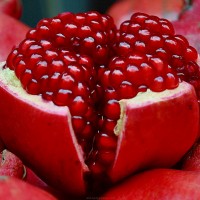 Pomegranate