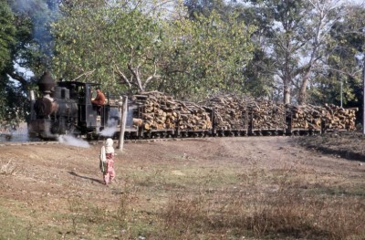 Wood Transportation