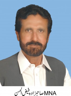 Faiz ul Hassan