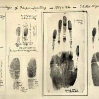 Fingerprints