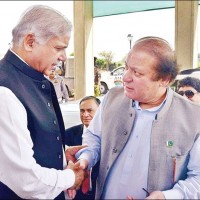 Nawaz Sharif, Shahbaz Sharif