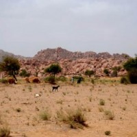 Tharparkar