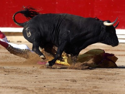 Bull Fighter