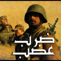 Zarb E Azb