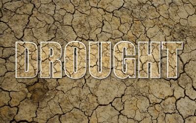 Droughts