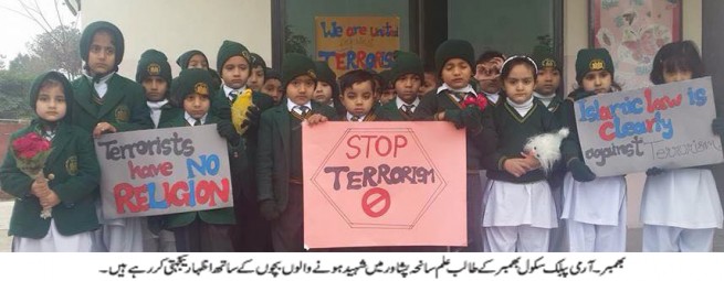 APS Bhimber