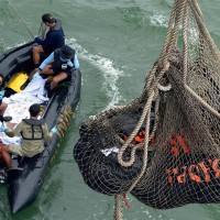 AirAsia Dead Body