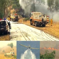 Australia Forest Fire