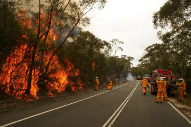 آسٹریلیا کے جنگلوں میں لگی آگ رہائشی علاقوں تک پہنچنے لگی