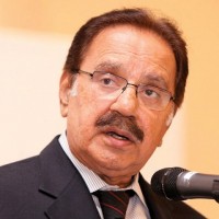 Makhdoom Amin Fahim