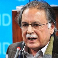 Pervez Rashid