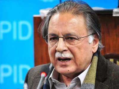 Pervez Rashid