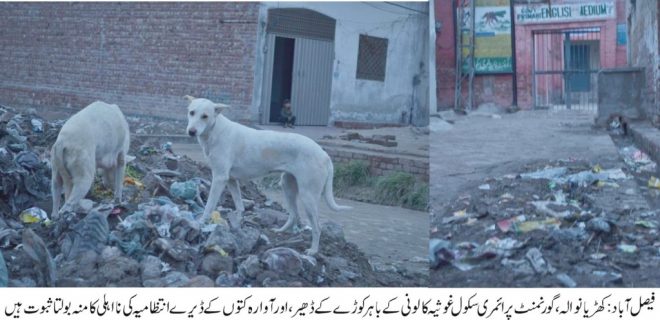 فیصل آباد: کھڑیانوالہ ، گورنمنٹ پرائمری سکول غوثیہ کالونی کے باہر کوڑے کے ڈھیر