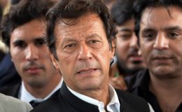 ٹمبر مافیا کیخلاف جہاد کا آغاز کر دیا، انہیں نہیں چھوڑیں گے، عمران خان