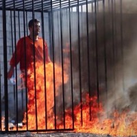 Jordanian Pilot