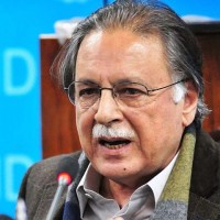 Pervaiz Rashid